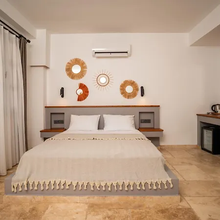 Molino 住宿加早餐酒店 阿拉恰特